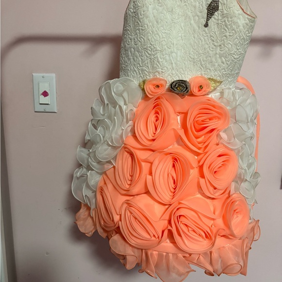 Zebra Print and Red Ruffle Dresses - Picture 6 of 16